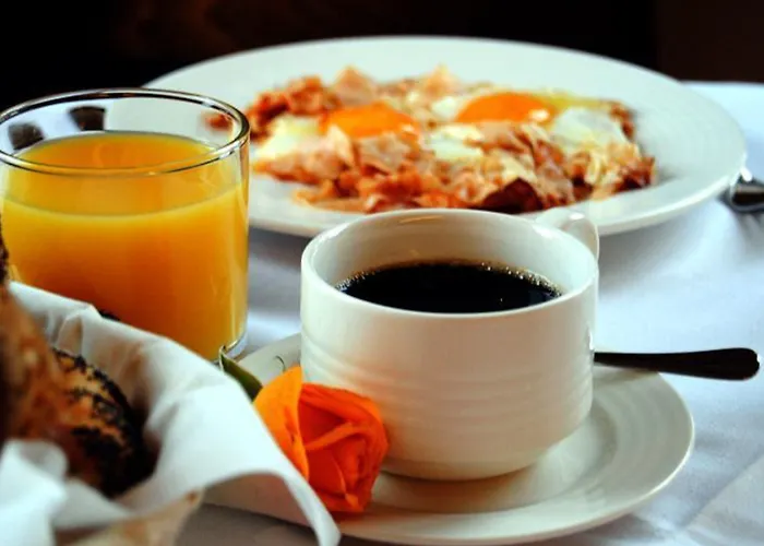 Pod Wawelem فندق كراكوفيا